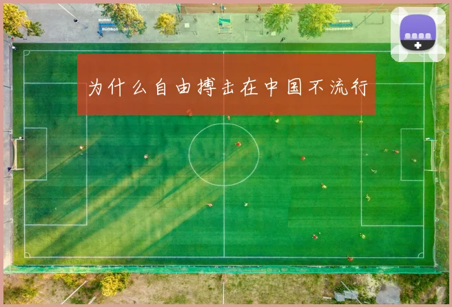 为什么自由搏击在中国不流行