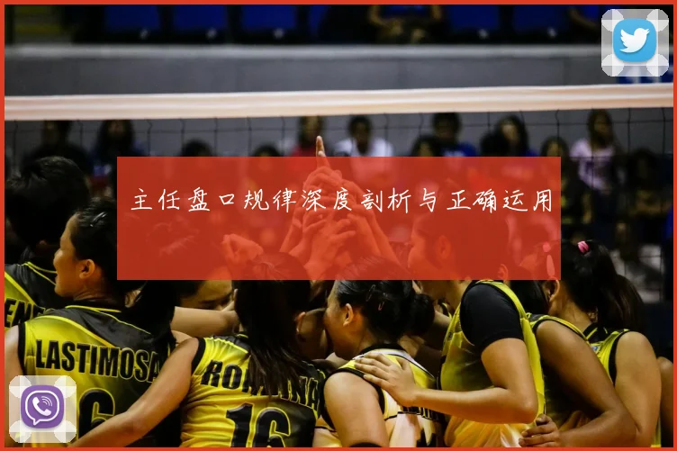 主任盘口规律深度剖析与正确运用