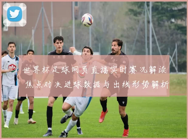 世界杯足球网页直播实时赛况解读 焦点对决进球数据与出线形势解析