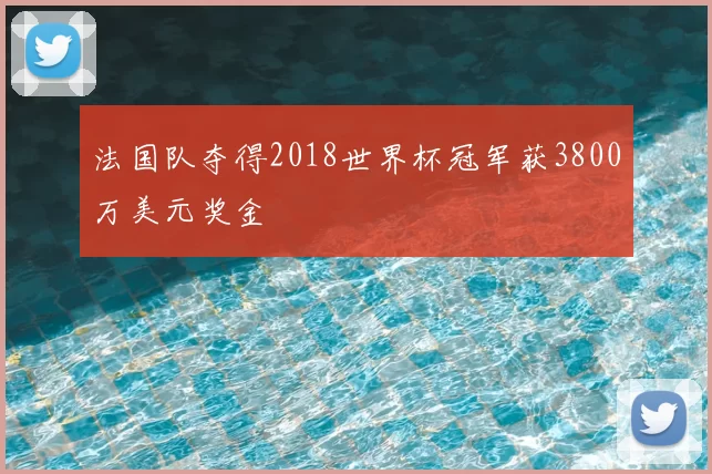法国队夺得2018世界杯冠军获3800万美元奖金