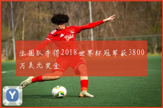 法国队夺得2018世界杯冠军获3800万美元奖金